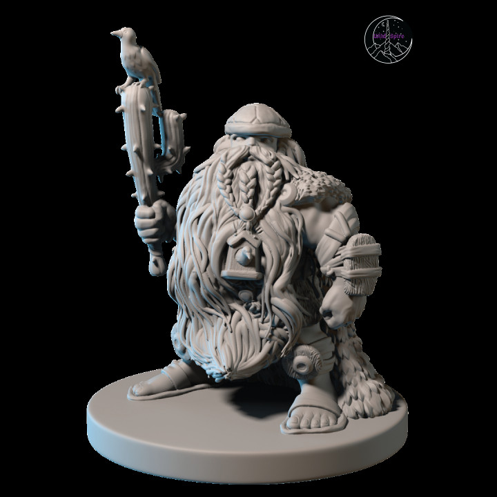 nain druide 28mm pre supported table héros animal compagnie barbe aventurier présupport 3D print model - Mito3D