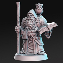 dramnir - dwarf wizard owl 32mm dnd tabletop book hood potion rn estudio 3d print model - Mito3D