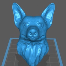 peeky corgi animal dog pet welsh pembroke 3d print model - Mito3D