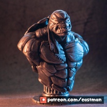 tmnt büst hayran Sanat kahraman maske ninja kabuk kaplumbağa mutant 3 ergen Eastman 3d print model - Mito3D