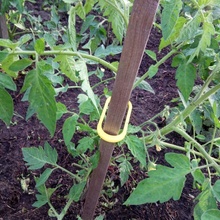 tomato clips plant 3d print model - Mito3D