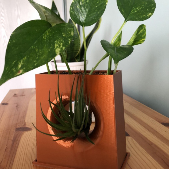 cut-out planter pot cutoutpot coolplanter 3D print model - Mito3D