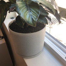 ridge planter pot garden 3d print model - Mito3D