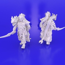 pirate corsair captain dark elf tabletop fantasy rpg wargames warhammer commander darkelf elves wargame rol 9thage ageofsigmar aos theninthage ninthage dragonslakeminiaturas dreadelves 3d print model - Mito3D