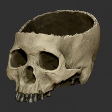 Halloween cranio ciotola spaventoso 3d print model - Mito3D