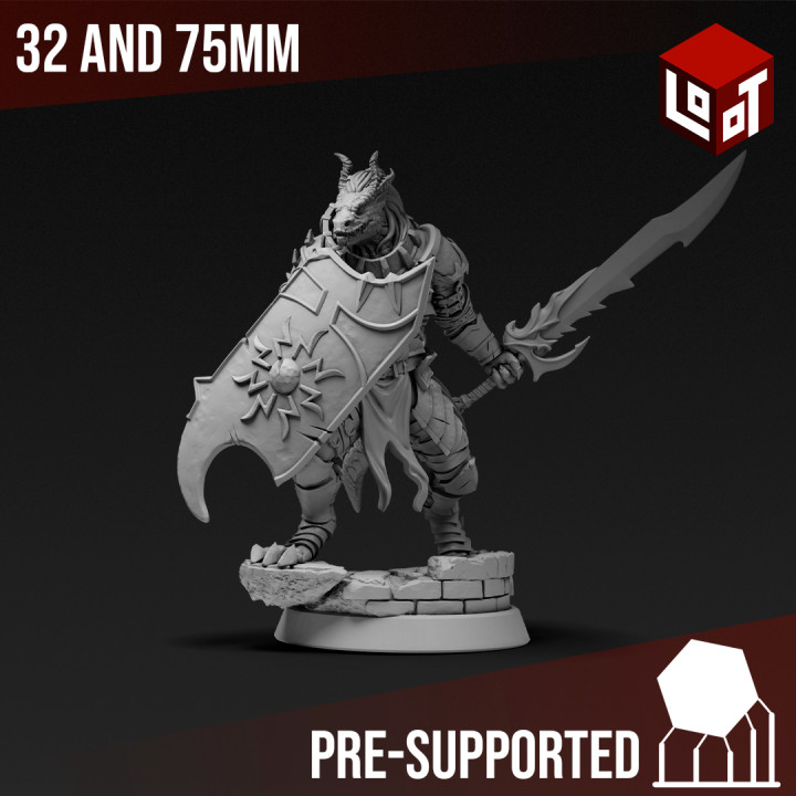 sunathaer caex - mad mage's experiments loot studios tabletop dragon epic fantasy fighter game hero mini rpg undead warrior miniature dragonborn boardgame dungeonsanddragons wargame d&d role-playing draconic 3D print model - Mito3D