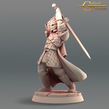 seçkinler koruma 02 mağaza Ejderha dövüşçü oyun erkekler mini rol yapma rpg kılıç birim savaşçı minyatür masaüstü zindan 28mm 32mm 3d print model - Mito3D