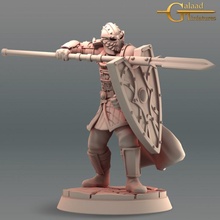 elite guarda 03 tampo mesa Dragão lutador jogos homens mini encenação rpg espada unidade Guerreiro miniatura masmorra 28mm 32mm 3d print model - Mito3D