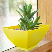 japanese inspired planter & garden plant cactus succulents succulent holder cacti pot 3d print model - Mito3D