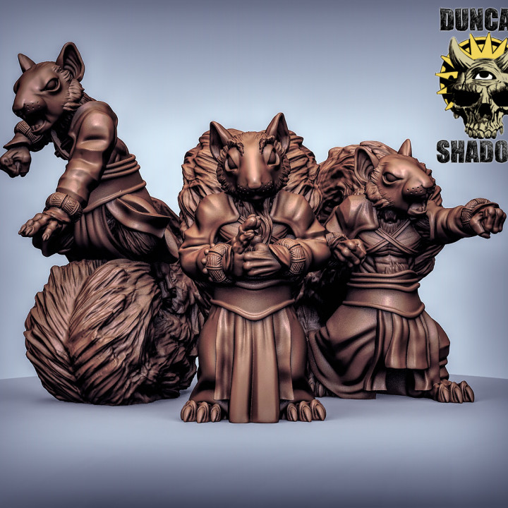 scurryni monks pre supports tabletop monk rpg dungeonsanddragons squirrel dnd fighters presupported 3D print model - Mito3D