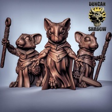 mousle sorcerers pre supports tabletop rpg mouse dungeonsanddragons dnd tabletopgames sorcerer spellcaster presupported 3d print model - Mito3D