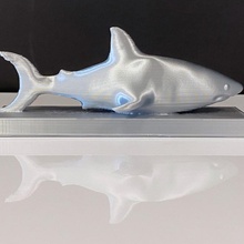 shark store animal business ocean predator 3d print model - Mito3D