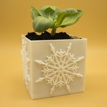 mandala planter & garden vase gardening interiordesign homedecor selfcad houseplant selfcadchallenge sculpt-with-selfcad diydecor 3d print model - Mito3D