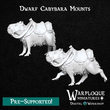 capybara mounts tabletop cute dragons dungeons warhammer dnd guinea guineapig 3d print model - Mito3D