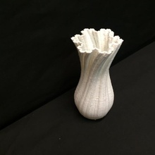 fractal vase hollow version & garden 3d print model - Mito3D