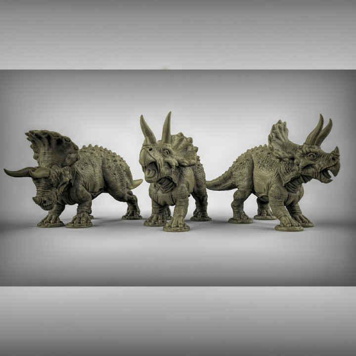 triceritops tabletop dino dinosaur prehistoric dungeonsanddragons dnd 3D print model - Mito3D