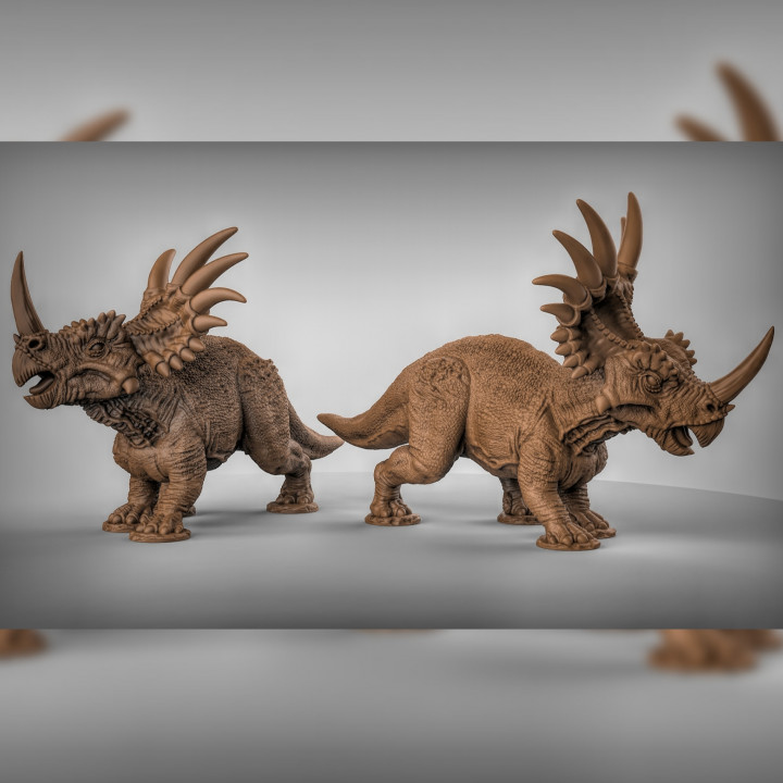 Styracosaurus Geschäft 3D print model - Mito3D