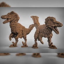 velociraptor tabletop animal dino dinosaur prehistoric dungeonsanddragons dnd pathfinder 3d print model - Mito3D