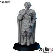 general tabletop army fantasy king medieval rpg soldier fancy dnd court 3d print model - Mito3D