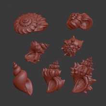 spiral shells decoration sea shell miniature d&d 28mm bits bitz maritim 3d print model - Mito3D