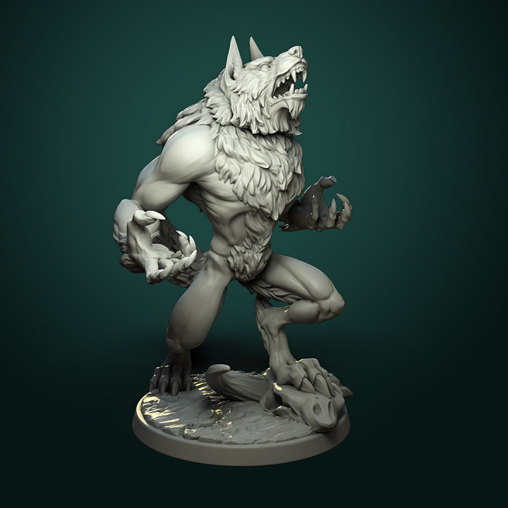 furious werewolf 2 variants pre-supported tabletop fantasy game rpg miniature dnd pathfinder ttrpg dndminiature 3D print model - Mito3D