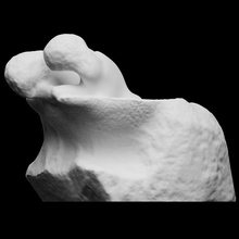 Blumen Vase Scan Skulptur Marmor Frankreich Rodin 3dprintable 3d print model - Mito3D