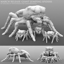 giant jumping spiders tabletop creature mini companion miniature spider dnd dungeons dragons familiar labradoritewolf animal d&d 3d print model - Mito3D