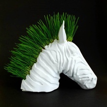 zebra fioriera vaso giardinaggio erba gatta coltura idroponica microgreens wheatgrass 3d print model - Mito3D