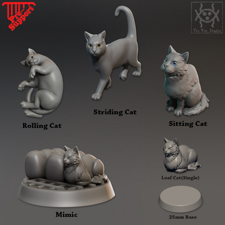 compañero gatos paquete mesa gato mazmorras gatito partido juego rol rpg martillo guerra miniatura calabozos Dragones d aventurero felino ageofsigmar aos 3D print model - Mito3D