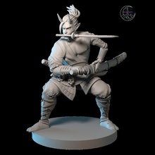 samuray Tiefling masaüstü dövüşçü kahraman maceracı npc Sol 39 an 3d print model - Mito3D