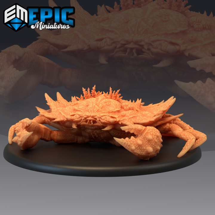 géant Crabe corail mer monstre table fantaisie océan rpg marteau guerre l'eau sla ennemi marin dnd éclaireur 3D print model - Mito3D