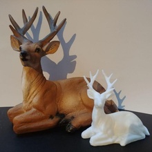 laying deer stag 3d print model - Mito3D