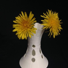 flower vase twisty & garden 3d print model - Mito3D