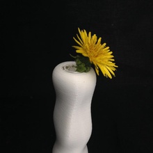 vase4 chy & garden flower decoration vase 3d print model - Mito3D
