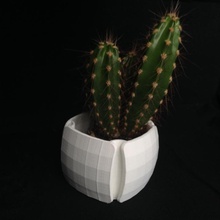whatts vase & garden 3d print model - Mito3D
