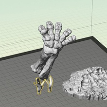 foot bone footprint plants 3d print model - Mito3D