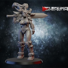 barbaro ragazza copertina supporti pronto tavolo draghi dungeon fantasia rpg warhammer miniatura gioco guerra dnd esploratore 3d print model - Mito3D