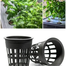 net cup pot hydroponic gardening garden plant indoor herbs indoorfarming farming hydro netpot netcup lettuce 3d print model - Mito3D