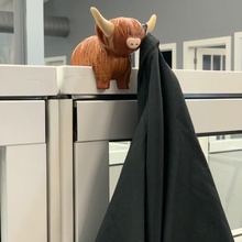 coo coat hanger cubicle cow highland 3d print model - Mito3D