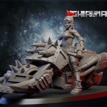 afficher bicyclette soutiens prêt table dragons donjons femelle marteau guerre miniature dnd éclaireur 40000 wh 3d print model - Mito3D