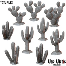 cactuses tabletop desert fantasy rpg sand cactus dnd sceneries 3d print model - Mito3D
