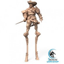 chevalier batz tabletop dungeons fantasy human mini miniatures warrior male 32mm swordsman stilts ttrpg musketeer presupported signum 3d print model - Mito3D