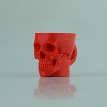 cranio giardino 3d print model - Mito3D