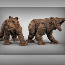ursos tampo mesa animal Urso rpg masmorras Dragões dnd descobridor jogos 3d print model - Mito3D