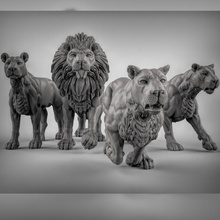 lions tabletop animals dungeonsanddragons cats dnd pathfinder tabletopgames bigcats 3d print model - Mito3D