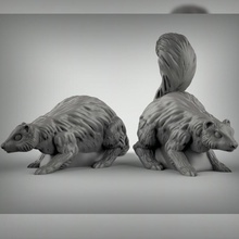 mofetas mesa animal rpg compañero calabozos Dragones dnd pionero juegos zorrillo familiar 3d print model - Mito3D