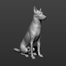 alemán pastor perro 3d impresión modelo animal bestia sabueso mascota cazador defensor mamífero colmillos perrito beagle guau presa 3d print model - Mito3D