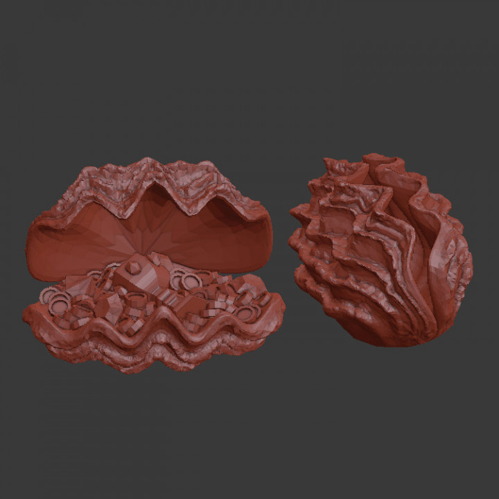 Tesoro mollusco 3D print model - Mito3D