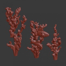 mercanlar mercan 3d print model - Mito3D