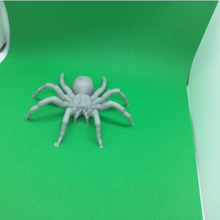 ragno Halloween modello tarantola 3D print model - Mito3D